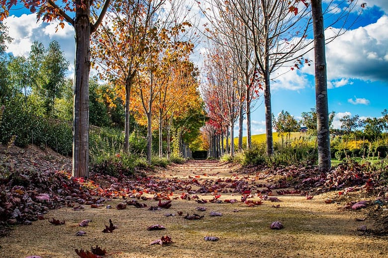 Autumn is here
